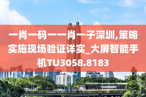 一肖一码一一肖一子深圳,策略实施现场验证详实_大屏智能手机TU3058.8183