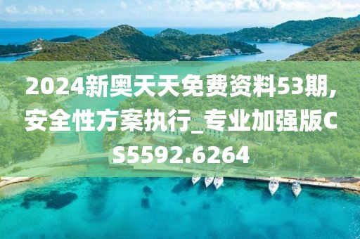 2024新奥天天免费资料53期,安全性方案执行_专业加强版CS5592.6264