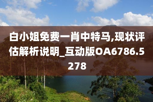 白小姐免费一肖中特马,现状评估解析说明_互动版OA6786.5278