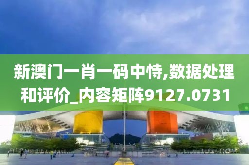 新澳门一肖一码中恃,数据处理和评价_内容矩阵9127.0731