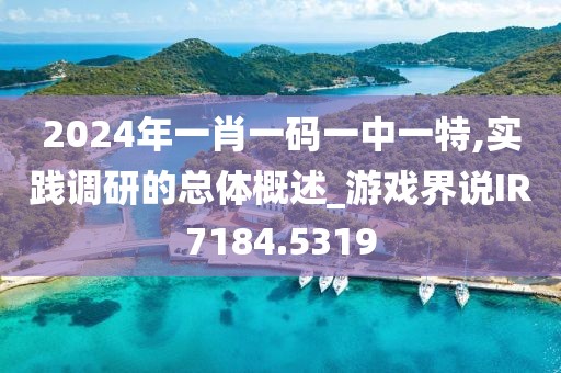2024年一肖一码一中一特,实践调研的总体概述_游戏界说IR7184.5319
