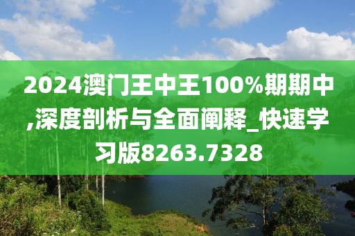2024澳门王中王100%期期中,深度剖析与全面阐释_快速学习版8263.7328