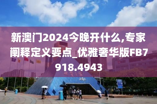 新澳门2024今晚开什么,专家阐释定义要点_优雅奢华版FB7918.4943