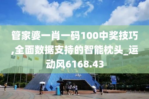 管家婆一肖一码100中奖技巧,全面数据支持的智能枕头_运动风6168.43
