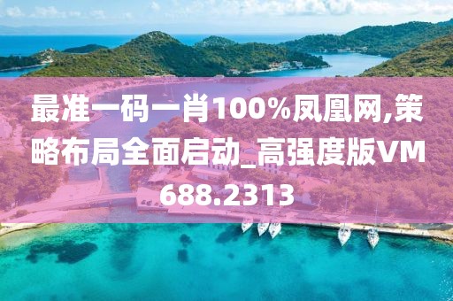 最准一码一肖100%凤凰网,策略布局全面启动_高强度版VM688.2313