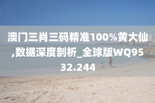澳门三肖三码精准100%黄大仙,数据深度剖析_全球版WQ9532.244