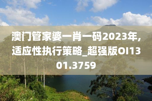 澳门管家婆一肖一码2023年,适应性执行策略_超强版OI1301.3759