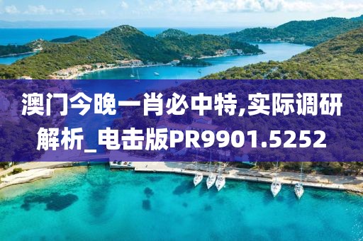 澳门今晚一肖必中特,实际调研解析_电击版PR9901.5252