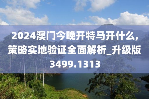 2024澳门今晚开特马开什么,策略实地验证全面解析_升级版3499.1313