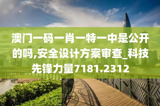 澳门一码一肖一特一中是公开的吗,安全设计方案审查_科技先锋力量7181.2312