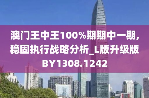 澳门王中王100%期期中一期,稳固执行战略分析_L版升级版BY1308.1242