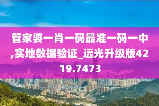 管家婆一肖一码最准一码一中,实地数据验证_远光升级版4219.7473