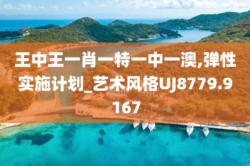 王中王一肖一特一中一澳,弹性实施计划_艺术风格UJ8779.9167
