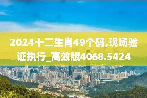 2024十二生肖49个码,现场验证执行_高效版4068.5424