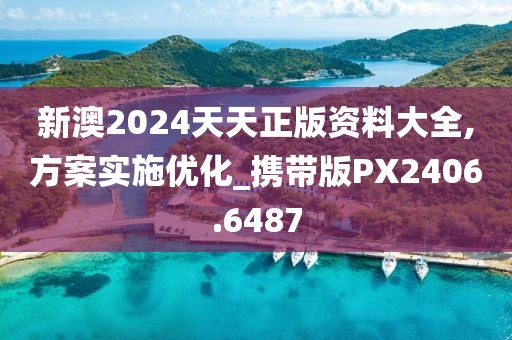 新澳2024天天正版资料大全,方案实施优化_携带版PX2406.6487