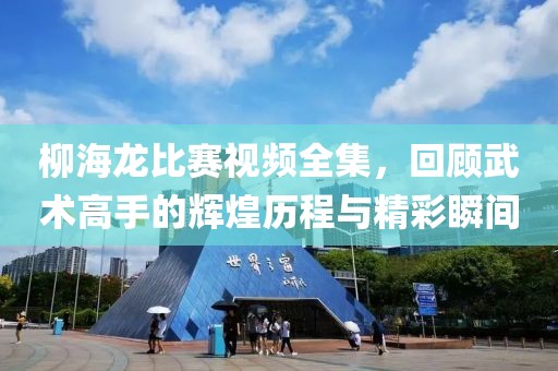 柳海龙比赛视频全集，回顾武术高手的辉煌历程与精彩瞬间