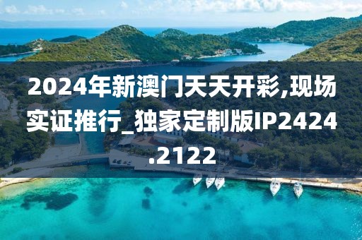 2024年新澳门天天开彩,现场实证推行_独家定制版IP2424.2122