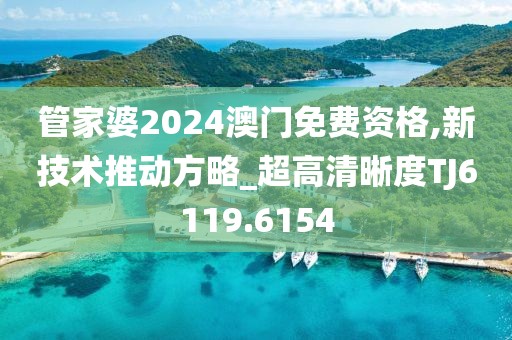 管家婆2024澳门免费资格,新技术推动方略_超高清晰度TJ6119.6154