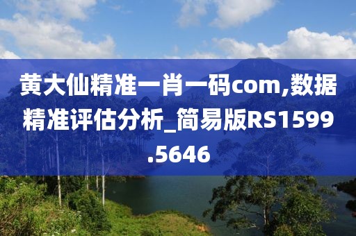 黄大仙精准一肖一码com,数据精准评估分析_简易版RS1599.5646