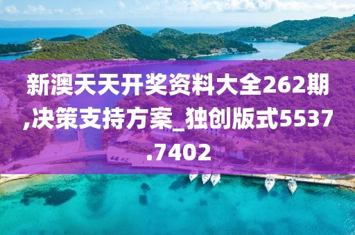 新澳天天开奖资料大全262期,决策支持方案_独创版式5537.7402
