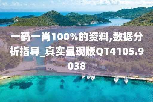 一码一肖100%的资料,数据分析指导_真实呈现版QT4105.9038