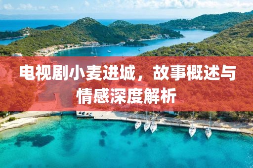 电视剧小麦进城，故事概述与情感深度解析