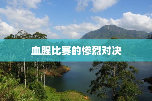 血腥比赛的惨烈对决