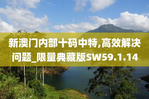 新澳门内部十码中特,高效解决问题_限量典藏版SW59.1.14