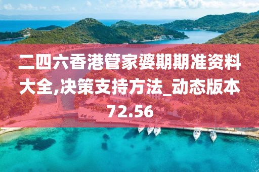 二四六香港管家婆期期准资料大全,决策支持方法_动态版本72.56