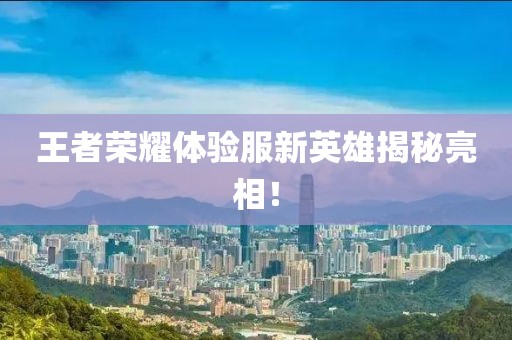 王者荣耀体验服新英雄揭秘亮相！