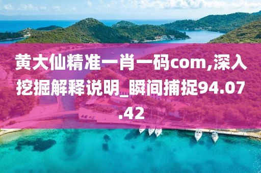 黄大仙精准一肖一码com,深入挖掘解释说明_瞬间捕捉94.07.42