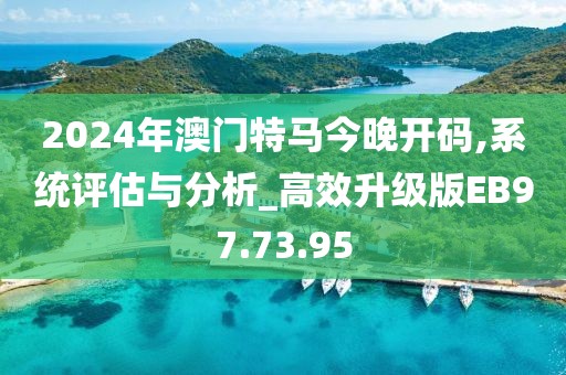 2024年澳门特马今晚开码,系统评估与分析_高效升级版EB97.73.95