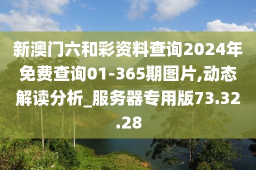 新澳门六和彩资料查询2024年免费查询01-365期图片,动态解读分析_服务器专用版73.32.28
