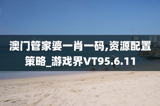 澳门管家婆一肖一码,资源配置策略_游戏界VT95.6.11