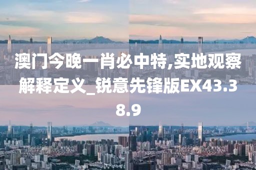 澳门今晚一肖必中特,实地观察解释定义_锐意先锋版EX43.38.9