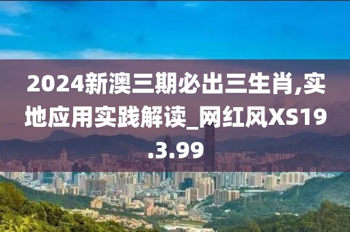 2024新澳三期必出三生肖,实地应用实践解读_网红风XS19.3.99