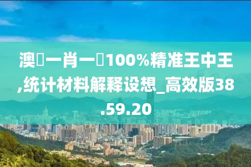 澳門一肖一碼100%精准王中王,统计材料解释设想_高效版38.59.20