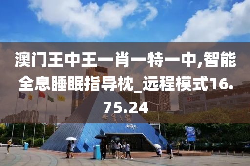澳门王中王一肖一特一中,智能全息睡眠指导枕_远程模式16.75.24