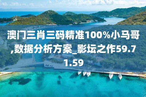 澳门三肖三码精准100%小马哥,数据分析方案_影坛之作59.71.59