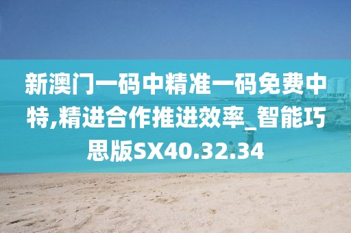 新澳门一码中精准一码免费中特,精进合作推进效率_智能巧思版SX40.32.34