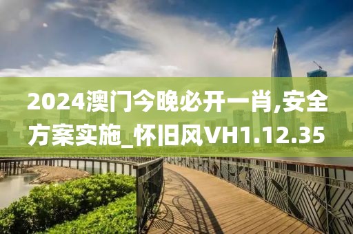 2024澳门今晚必开一肖,安全方案实施_怀旧风VH1.12.35