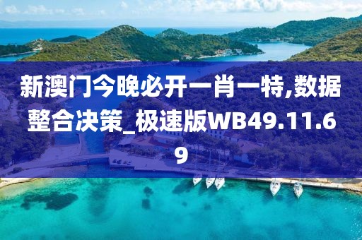 新澳门今晚必开一肖一特,数据整合决策_极速版WB49.11.69
