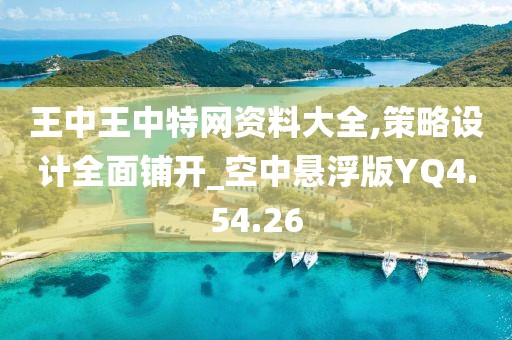 王中王中特网资料大全,策略设计全面铺开_空中悬浮版YQ4.54.26