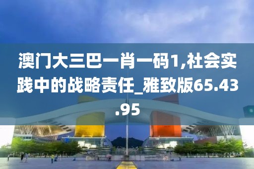 澳门大三巴一肖一码1,社会实践中的战略责任_雅致版65.43.95