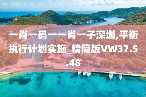 一肖一码一一肖一子深圳,平衡执行计划实施_精简版VW37.5.48