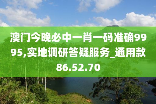 澳门今晚必中一肖一码准确9995,实地调研答疑服务_通用款86.52.70