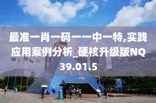 最准一肖一码一一中一特,实践应用案例分析_硬核升级版NQ39.01.5