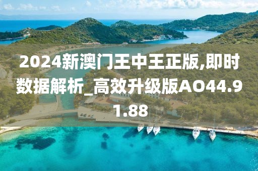 2024新澳门王中王正版,即时数据解析_高效升级版AO44.91.88