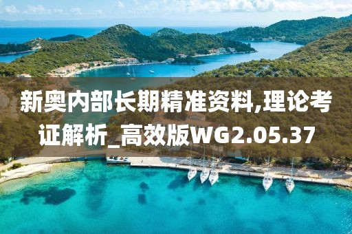 新奥内部长期精准资料,理论考证解析_高效版WG2.05.37