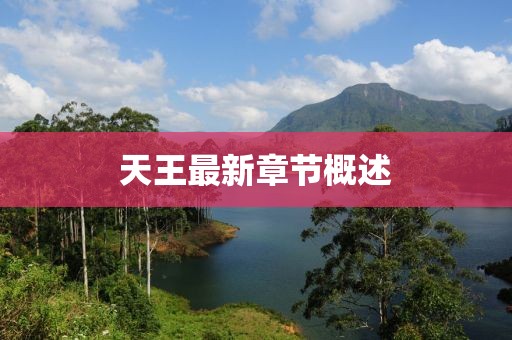 天王最新章节概述